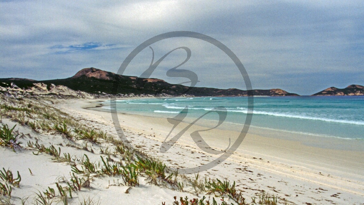 Lucky Bay - Bucht - Strand_C04-47-03.jpg