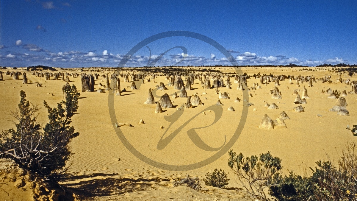 Nambung Nationalpark - Pinnacles_C04-22-44.jpg