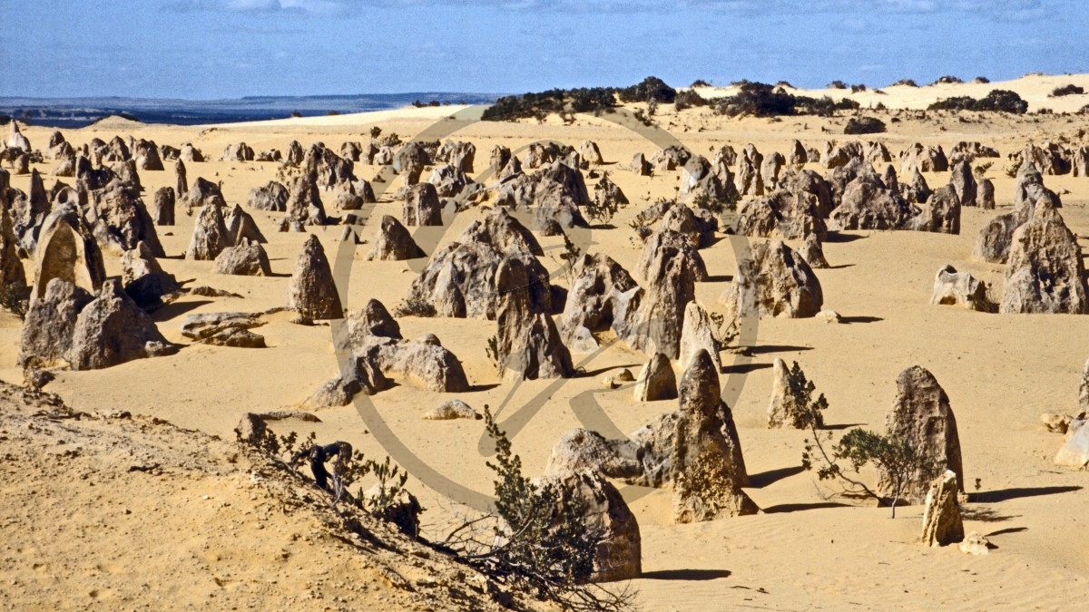 Nambung Nationalpark - Pinnacles_C04-22-48.jpg