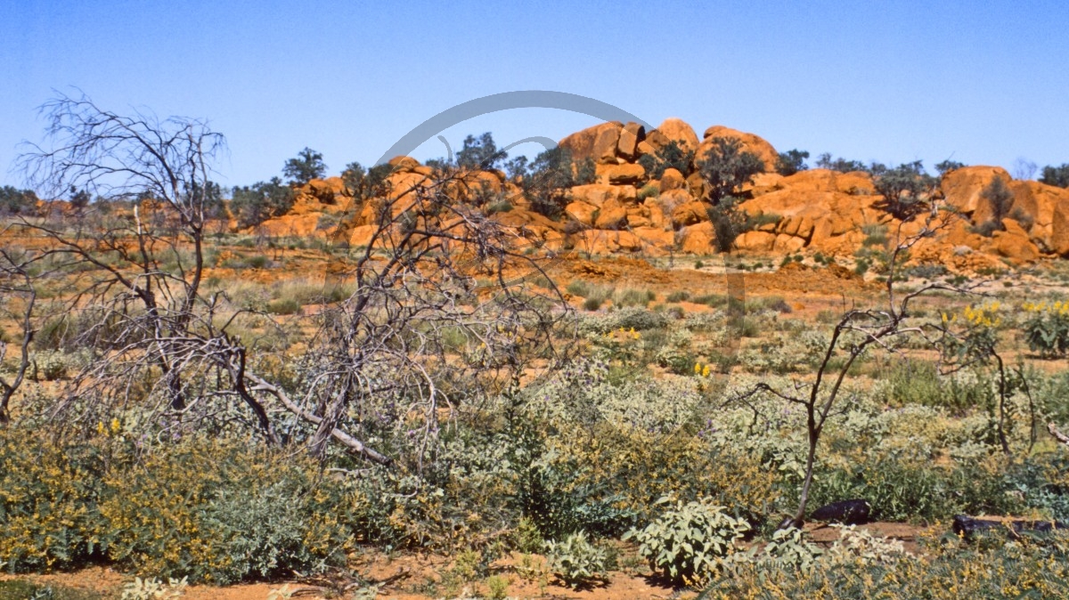 Outback_C04-40-12.jpg
