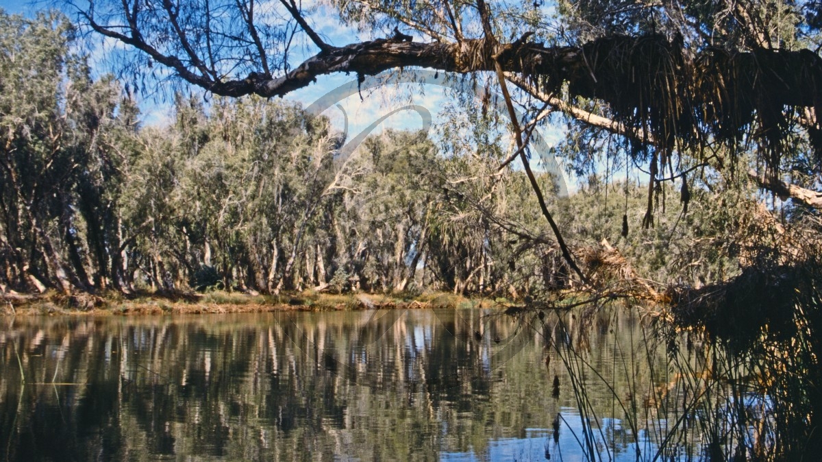 Pilbara - Millstream-Chichester Nationalpark - Fortescue River - Crossing Pool_C04-20-07.jpg