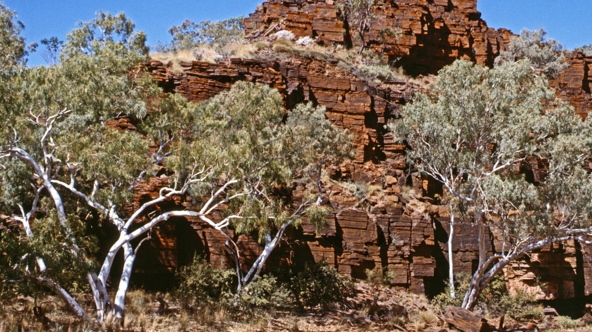 Pilbara- Hamersley Range - Karijini Nationalpark - Yampire Gorge_C04-20-28.jpg