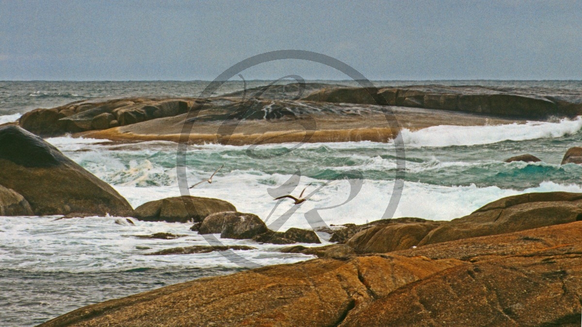 William Bay Nationalpark - Green's Pool_C04-24-05.jpg