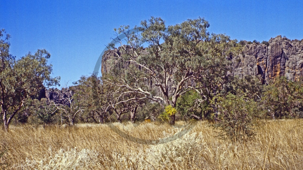 Winjana Gorge Nationalpark_C04-18-42.jpg