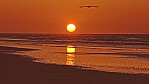 Eighty Mile Beach - Sonnenuntegang_C04-19-36.jpg