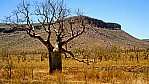 Gibb River Road - Boab - Tafelberg_C04-17-46.jpg