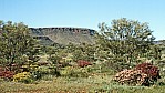 Hamersley Range - blhendes Outback_C04-41-43.jpg