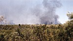 Outback - Buschfeuer_C04-19-23.jpg