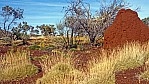 Pilbara- Hamersley Range - Karijini Nationalpark - Buschland - Termitenhgel_C04-20-37.jpg