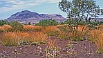 Pilbara- Hamersley Range - Karijini Nationalpark - Mount Bruce_C04-21-08.jpg