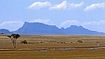 Stirling Range_C04-24-35.jpg