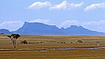 Stirling Range_C04-24-35.jpg